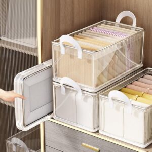 Transparent Storage Basket With Lid / Clothes Organizer Storage Box